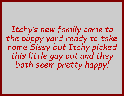 Text Box: Itchys new family came to the puppy yard ready to take home Sissy but Itchy picked this little guy out and they both seem pretty happy!